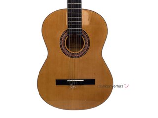 guitarra clasica sonora sgn-450