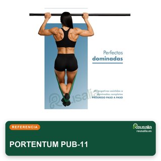 PORTENTUM bandas resistencia 5 niveles intensidad