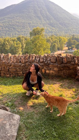 Paseo de perros, alojamiento o ir a el domicilio.