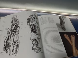 Anatomía para el artista, Blume 2003, Sarah Simblet