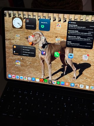iPad Pro 12.9 4ª Gen Plata