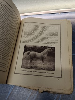libro algo deteriorado-Programa concurso equino Iberoamericano Jerez ( Cádiz) 1929