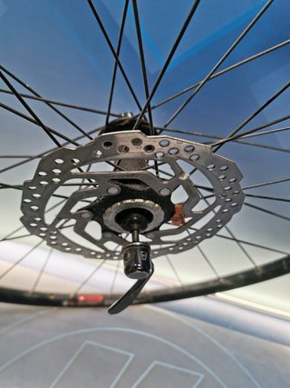 Rueda trasera WTB Stpi9 29" tubeless