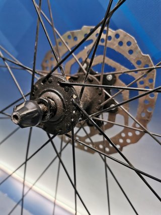 Rueda trasera WTB Stpi9 29" tubeless