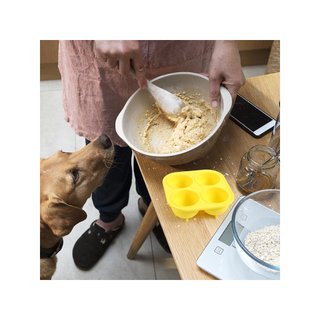 Moldes silicona para golosinas perros