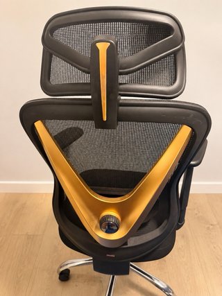 Silla ergonómica HOLLUDLE negra y dorada