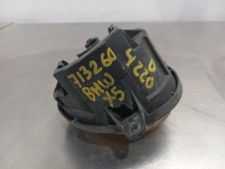 Faro antiniebla derecho BMW SERIE X5 (E53)