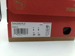 Puma N°37