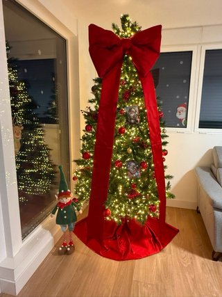 Árbol de Navidad Bormio 240 cm
