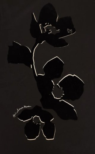 Camiseta Carolina Herrera, M