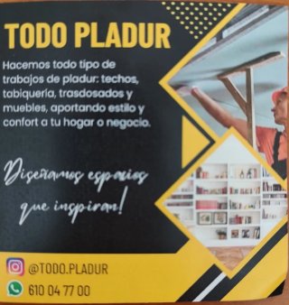 Pladurista