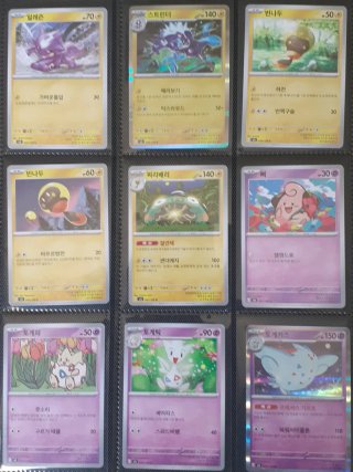 Álbum Completo Pokémon Ruler of the black flame