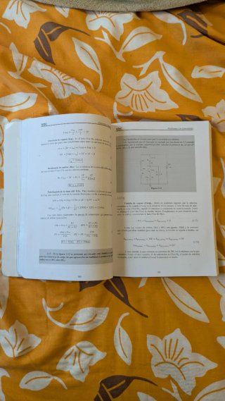 Libro Ejercicios Resueltos Electrónica Industrial