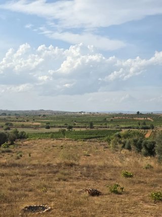 Terrenos en paraje la serretilla campo arcis