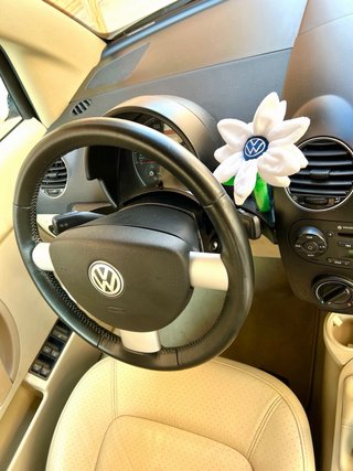 Volkswagen Beetle 2010