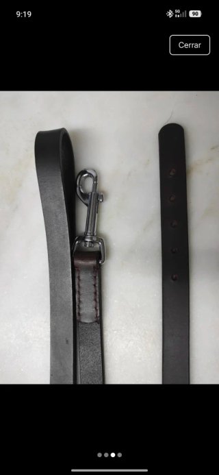 Correa y collar de cuero marrón oscuro