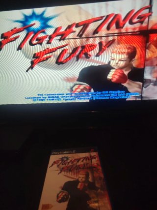 Fighting Fury PS2