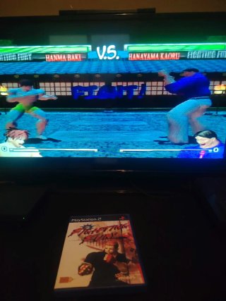 Fighting Fury PS2