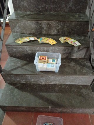 Caja de cartas Pokémon