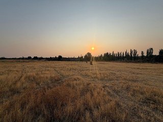 Nave industrial en venta en Cuenca de Campos