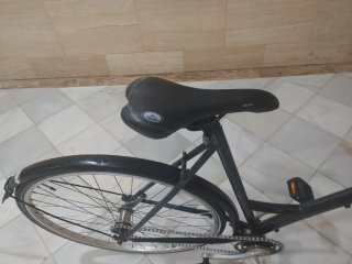 Bicicleta Paseo Alta