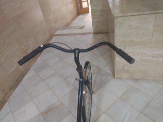 Bicicleta Paseo Alta