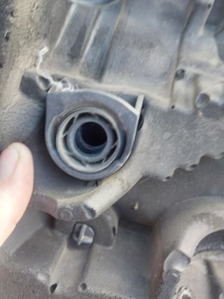 Tapa motor  Ibiza 6J 2010