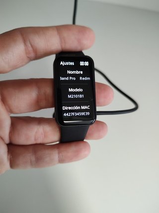 Xiaomi Redmi Smart Band Pro Negra