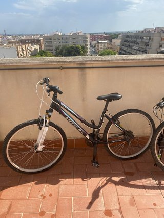 Bicicleta de Montaña Sprinter