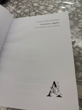 Geometria e algebra. Vettori, equazioni e curve...