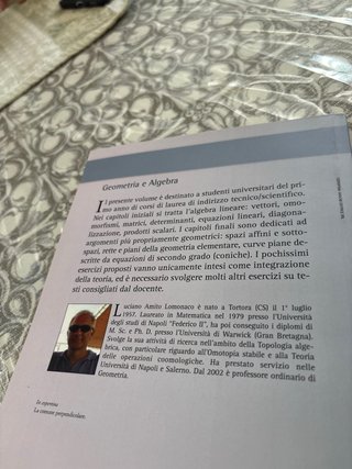 Geometria e algebra. Vettori, equazioni e curve...