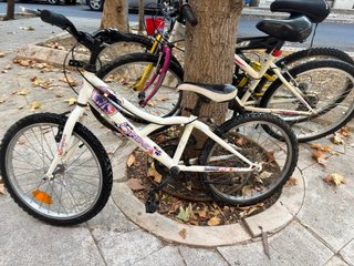 Bicicleta Montaña Niña NEWSTAR 24