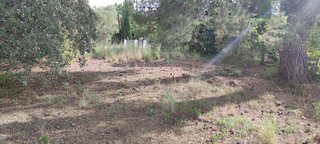 Terreno en venta en Castellvell del Camp