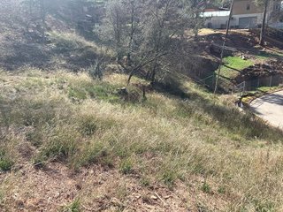 Terreno en venta en Sant Fruitós de Bages