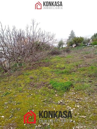 Local comercial en venta en Arcos de la Frontera