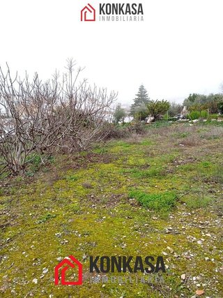 Local comercial en venta en Arcos de la Frontera