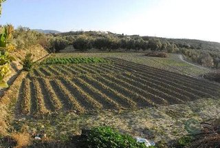 Chalet en venta en Otura