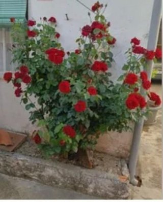 Casa en venta en Sepúlveda