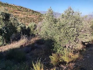 Terreno en venta en Albuñuelas