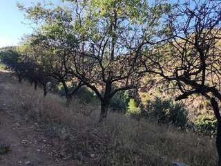 Terreno en venta en Albuñuelas
