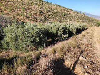Terreno en venta en Albuñuelas