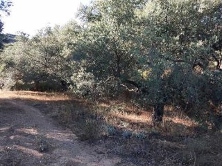 Terreno en venta en Albuñuelas