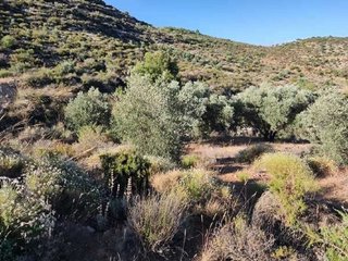 Terreno en venta en Albuñuelas