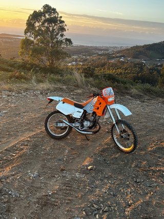 Gilera Surfer TT
