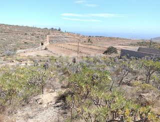 Terreno en venta en Los Blanquitos en Granadilla de Abona
