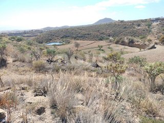 Terreno en venta en Los Blanquitos en Granadilla de Abona