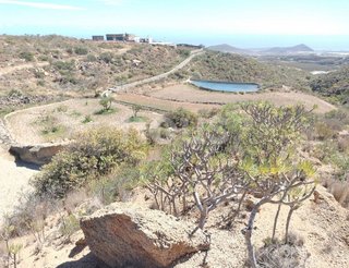 Terreno en venta en Los Blanquitos en Granadilla de Abona