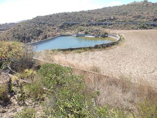 Terreno en venta en Los Blanquitos en Granadilla de Abona