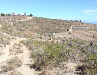 Terreno en venta en Los Blanquitos en Granadilla de Abona