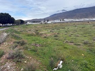 Solar en venta en Plaza de la Luz en Ejido (El)